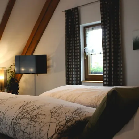 Gasthof zum Grünen Baum Komfort Suite-3